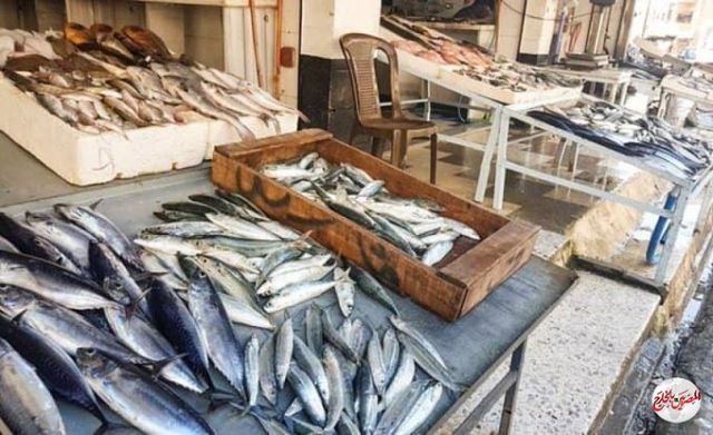 سوريا تعلن .. 70 حالة تسمم بسمك فاسد في حلب