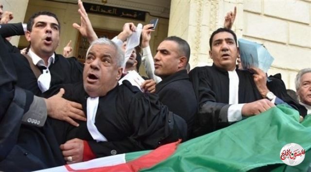 "وكالة فرنسية": إضراب لأعضاء منظمة محامي الجزائر