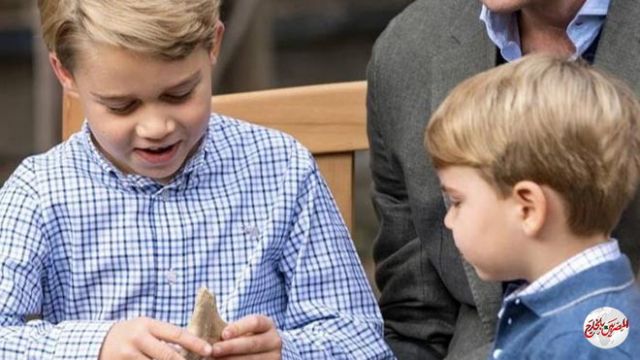 بالصورة.. تعود لعصور ما قبل التاريخ.. مالطا تطلب استعادة سن قرش بعد إهدائه لأمير بريطاني!