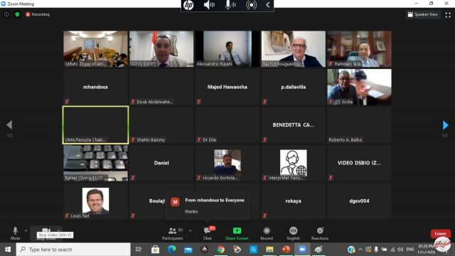 المصريين بالخارج