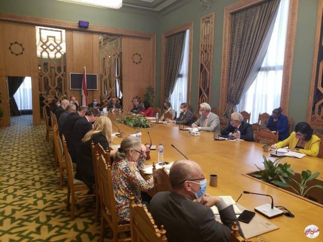 المصريين بالخارج