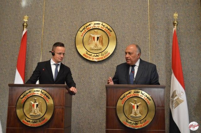 شكري رداً على مستشار أردوغان: مصر لم ولن تفرط فى نقطة واحدة من مياهها