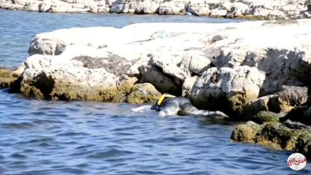 الحرس البحري التونسي ينتشل 6 جثث لفظها البحر على الشاطئ