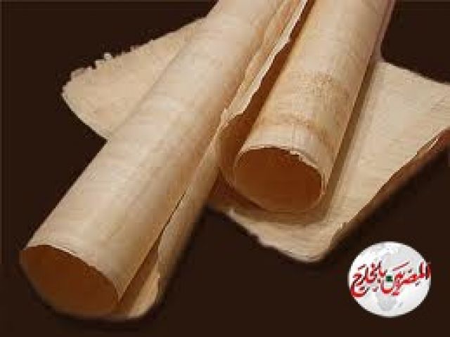 روسيا.. العثور على وثيقة مكتوبة على لحاء البتولا تعود للقرن الرابع عشر