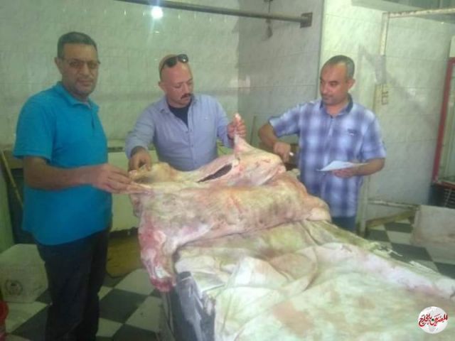 الرقابة الأدارية بمطروح تتمكن من ضبط 94كجم لحوم غير صالحة للإستخدام الأدمي