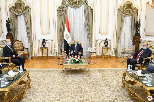 المصريين بالخارج