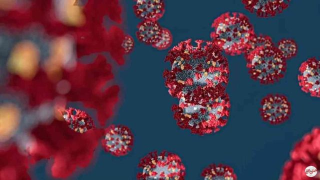 التشيك تسجل ارتفاعاً قياسياً للإصابات بفيروس كورونا وزيادة حادة في الوفيات