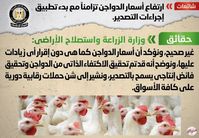 الوزراء تحسم الجدل حول ارتفاع أسعار الدواجن