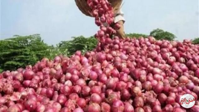 الزراعة: ارتفاع صادرات مصر الزراعية إلى أكثر من 4.3 مليون طن