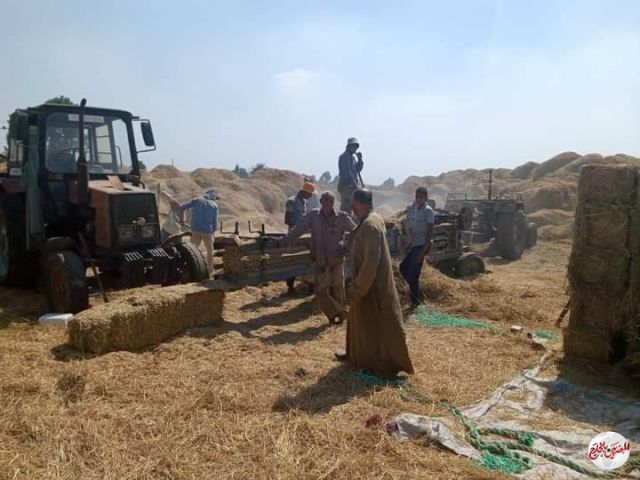 الزراعة تنظم 990ندوة إرشادية في 6محافظات