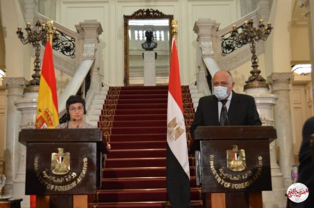 المصريين بالخارج