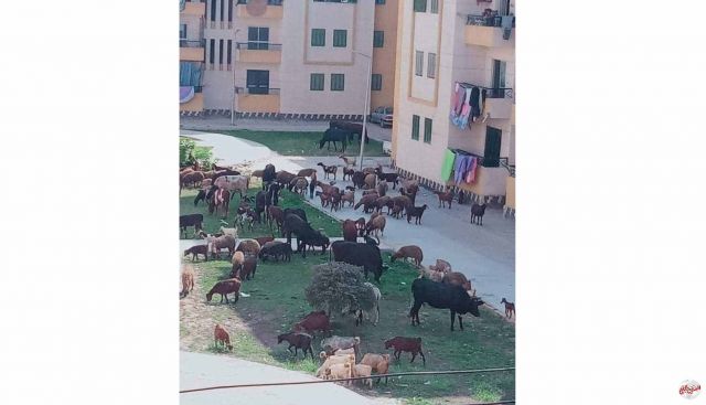 الحكومة ترد على صورة مثيرة للجدل في فيسبوك