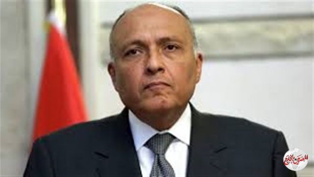 الخارجية: مصر ترحب وقف اطلاق النار الدائم في ليبيا